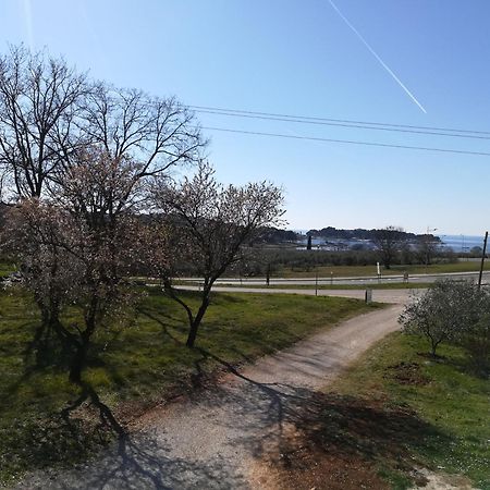 Guesthouse Πόρετς Εξωτερικό φωτογραφία